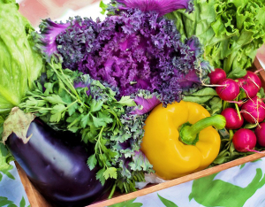 Verdura a tavola: contorno o piatto principale?