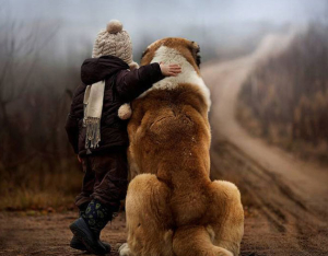 Bambini e animali: cresciamo insieme!
