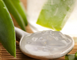 Che cos'è la Fitoterapia? Natura, scienza e tradizione