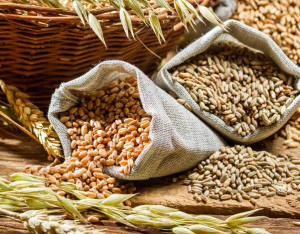 Cereali integrali: perchè preferirli ai cereali raffinati.