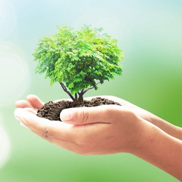 Attività: l’albero delle buone abitudini!