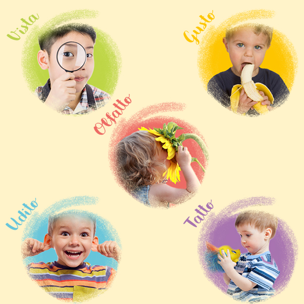 I sensi nello sviluppo del bambino