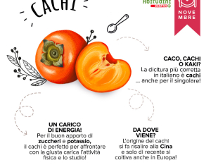 Orto-Scuola: il Cachi