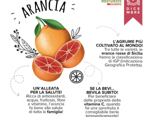 Orto-Scuola: l'Arancia