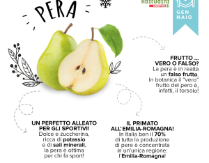 Orto-Scuola: la Pera