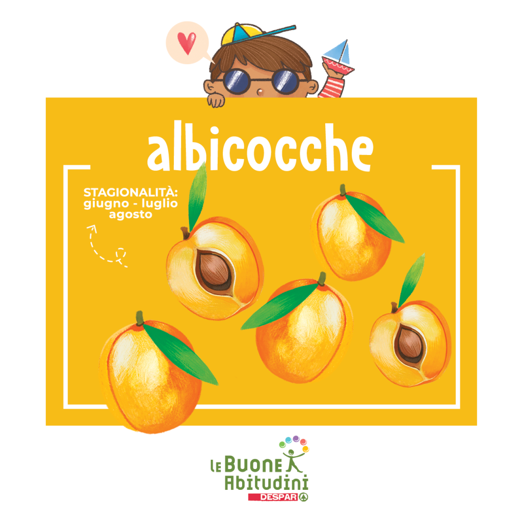 albicocche illustrazione