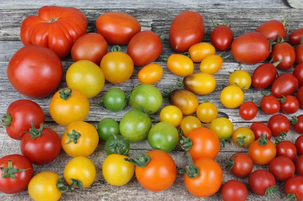 Pomodori di diversi colori