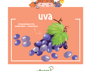 Uva: buona da mangiare e alleata della nostra salute!