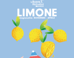 Bello come il sole d'inverno: ecco il limone!