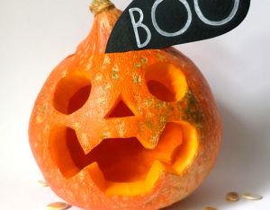 ZUCCA ZERO SPRECHI!